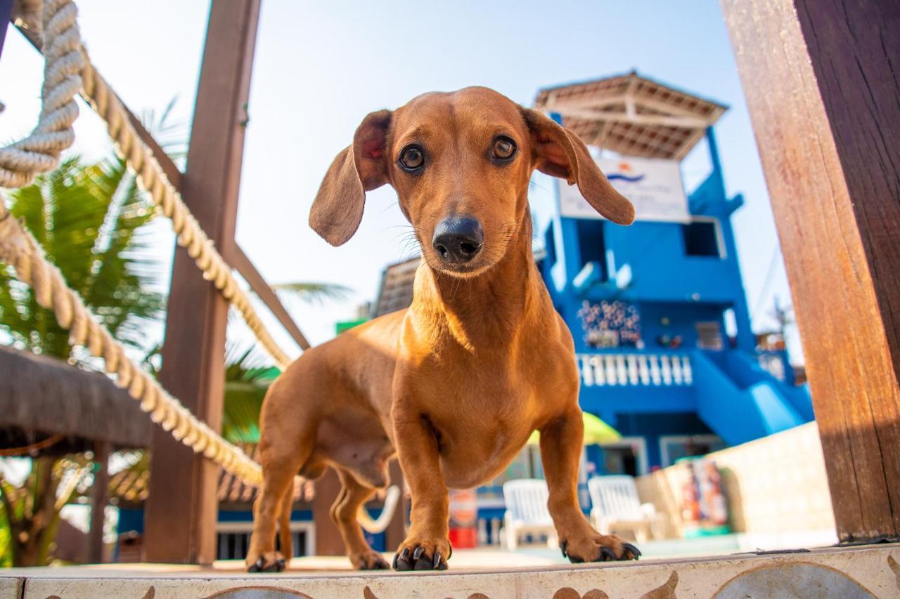 Pousada Agua Marinha-Familias & Pets アングラドスレイス エクステリア 写真